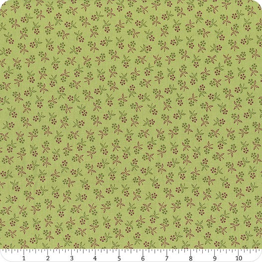 Autumn by Lori Holt C14664 Lettuce